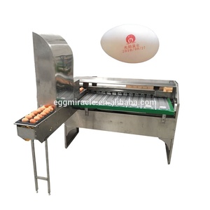 3 Row Egg-Grader and Sorter Machine with 7 Lanes