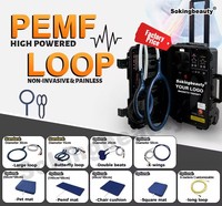 Appareils de thérapie magnéto PEMF électromagnétique pulsée à haute intensité professionnels portables pour chevaux – Offre spéciale