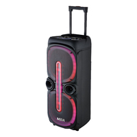 Enceinte de karaoké portable double 10 pouces avec chariot, 2 micros sans fil, lumière LED et télécommande