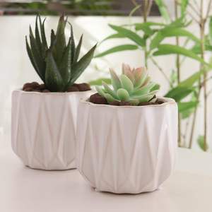 Maceta Rústica de Cerámica Esmaltada de 4 Pulgadas con Orificio de Drenaje, Duradera, Ecológica, Ligera, Biodegradable, para Suculentas, Cactus, Estilo Rústico - Product Image 6