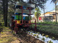 Transplanteur de légumes monté sur tracteur, machine à repiquer les oignons, équipement de repiquage de semis de légumes