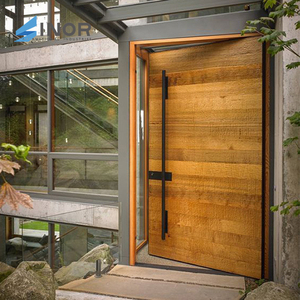 Mécanisme de porte pivotante en acier véritable pour grand verre, usage domestique, système d'entrée en bois, excellent prix - Product Image 2