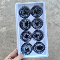 Kepala Bunga Mawar David Austin P-7 yang Diawetkan - Warna Sesuai Pesanan Bentuk Bulat untuk Dekorasi Buket - Hari Valentine & Hari Ayah