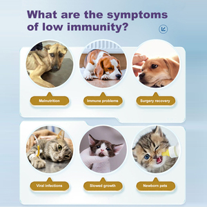 Integratore Alimentare di Lattoferrina Multivitaminico per la Salute degli Animali Domestici, Adatto per Cani e Gatti, Vendita all'Ingrosso - Product Image 4