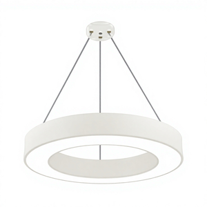 Modern Round LED Pendant Light Double Ring <b>Hanging</b> Lamp <b>White</b> Ceiling Fixture for Office Mall Store - Product Image 1