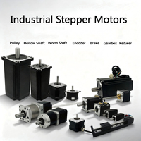 Motor Stepper Linear Hibrida 2-Fase 12-24V Loop Tertutup dengan Gearbox Reducer Encoder Nema 8 11 14 16 17 23 24 28 34 yang Dikustomisasi
