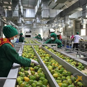 Chất Lượng Cao Tùy Chỉnh Xoài Dây Chuyền Chế Biến mangga/Xoài Bột Giấy Nhà Máy Sản Xuất Trái Cây Máy Chế Biến Với PLC SUS304/316 - Product Image 1