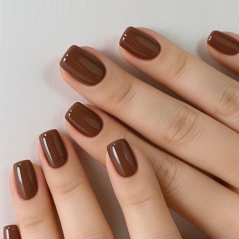 Ressort de cheveux de Brown BZ1685