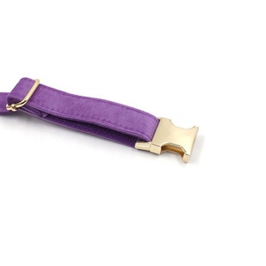 Tiktok <strong>Best</strong> Seller Fashion Adjustable <strong>Dog</strong> Flower Cute Purple Velvet Personalized <strong>Dog</strong> <strong>Collars</strong> and Leashes Pet Leashes - Product Image 3