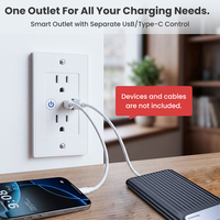 Prise murale intelligente Wifi Tuya Smart Home 16A US multifonction avec prise de charge Type-C + USB, commande vocale et minuterie à distance