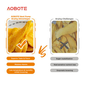 Factory Direct Umwelt freundlicher Trockner für Obst & Gemüse Entfeuchtungs-und Dehydrator-Maschine für Tee Rose Mango Tomaten & Pilze - Product Image 3