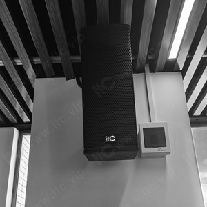 4 ohm 300W mạnh mẽ bass đầy đủ tần số Cột loa cho các bên hội nghị trung tâm mua sắm khách sạn - Product Image 5