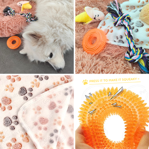 5 in 1 nuovo cucciolo accompagnano Kit di avviamento per alleviare l'ansia del battito cardiaco giocattoli di peluche cucciolo che masticano coperta morbida giocattolo - Product Image 6