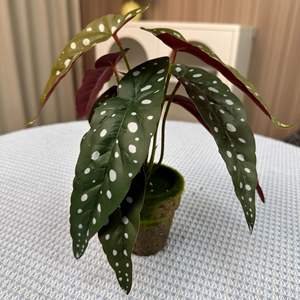 หญ้าเทียมทำจากผ้าไหมสีเขียวขนาดใหญ่ใช้ตกแต่งสำนักงานบ้านและนอกอาคารเป็นมิตรต่อสิ่งแวดล้อมทนทาน - Product Image 1