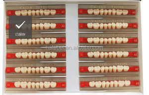 Dentaire supérieure et inférieure postérieure résine synthétique 2 couches résine acrylique dents résine prothèse dentaire - Product Image 4