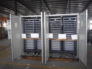 20000 ~ 25000 Incubateur d'oeufs de poule avec 4 ensembles de chariots à oeufs ou de chariots à couver HJ-I25 - Product Image 2