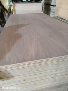 خشب رقائقي الجوز الأسود - Product Image 2