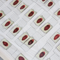 21 pcs for medical school Parasitology slides Human parasitology slides Biology parasitology slides