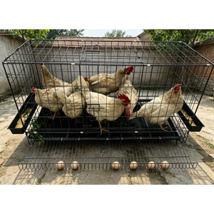 Gabbia Portatile per Uccelli da Esterno per Avvistamento Faunistico, Allevamento di Animali Domestici e Gatti, Attrezzatura per Allevamenti di Pollame e Animali da Fattoria - <span class=keywords><strong>Vendita</strong></span> Diretta dalla Fabbrica all'Ingrosso - Product Image 5