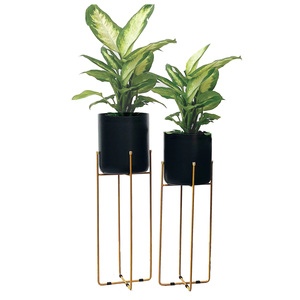 กระถางปลูกต้นไม้ชุบทอง2ชิ้น - Product Image 5