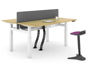 Moderne Hoogte Verstelbare Dual Motor Elektrische Sit Stand Desk Frame Staande Bureau
