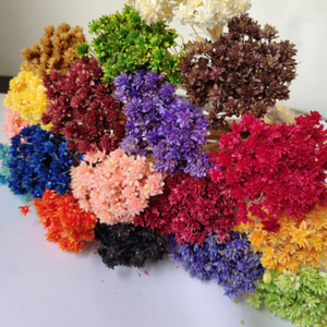 Couronne de fleurs séchées de fleurs étoilées brésiliennes, petites marguerites de <span class=keywords><strong>montagne</strong></span>, pour décorations de Noël DIY, couronne populaire - Product Image 6