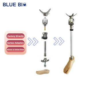 Geamputeerde Boven Knie Onder Kniegewricht Prothetische Ledematen Delen Kunstbeenkit Met Prothetische Voet - Product Image 2