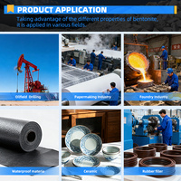Bentonite à haute plasticité pour céramique, liant vert de renforcement, fourniture directe usine