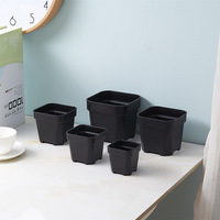 Petit pot à fleurs en plastique de 5 cm d'épaisseur pour plantes succulentes et cactus, design traditionnel, pot carré durable pour la maison, les centres commerciaux