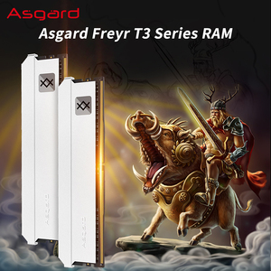 Asgard DDR5 <span class=keywords><strong>RAM</strong></span> 16GB, Kit 4800MHz Seri Freyr Memoria <span class=keywords><strong>Ram</strong></span> XMP 3.0 Ddr5 <span class=keywords><strong>RAM</strong></span> 16GB untuk Desktop Baru - Product Image 2