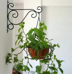 European Style Creative Iron Flower Rack <strong>for</strong> Balcony Wall-mounted Metal <strong>Bracket</strong> with <strong>Hanging</strong> <strong>Basket</strong> Flower Pot Hooks - Product Image 2