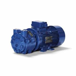 Nouvelle pompe à anneau liquide Speck V30-55.0079 d'origine - Product Image 1