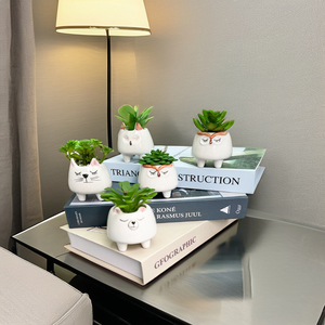 Mini bonsái, plantas tropicales ecológicas artificiales, hierba de palmera suculenta en vivo con maceta de cerámica para ocasiones artesanales - Product Image 4