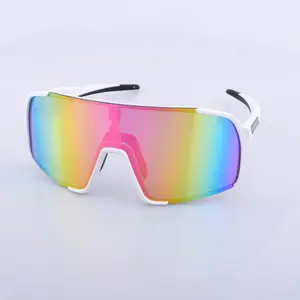 2023 OEM ODM pabrik kustom UV400 luar ruangan gaya baru tr90 olahraga kacamata lensa besar kacamata berkendara memancing kacamata hitam