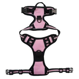 เสื้อกั๊กสุนัขพร้อมสายจูงและโบว์สำหรับเดินกลางแจ้งชุดปลอกคอสายจูงสุนัขแบบปรับได้ OEM ตามต้องการ - Product Image 4