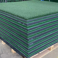 Tapis d'entraînement de golf BLG T40-3D pour la pratique du putting en 3D