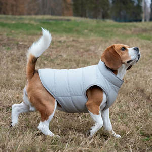 लक्जरी डिजाइनर ठोस रंग गर्म कुत्ते कपड़े कोट - Product Image 4