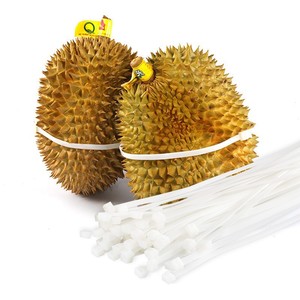 Attaches-câbles Shunshin Durian 5x650mm en nylon haute résistance autobloquant pour le regroupement des fruits - Product Image 2