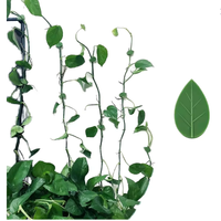 Support de plante bâton plantes grimpantes Clips plante de tomate crochets muraux décoratifs feuille Design support crochet maison