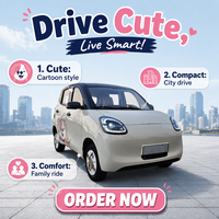 Voiture électrique miniature à 4 roues, à basse vitesse, fermée, économique, pour les déplacements quotidiens des personnes âgées, petit véhicule électrique pour adultes, voiturette de golf à basse vitesse