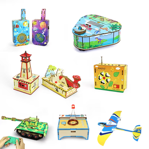 Expérience de physique pour l'apprentissage précoce, jouets éducatifs en bois naturel, écologiques, sûrs, durables, kits scientifiques <span class=keywords><strong>et</strong></span> projets d'artisanat DIY - Product Image 1