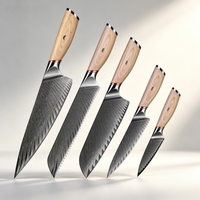 Ensemble de couteaux professionnels 5 pièces, lames en acier Damas 67 couches, couteaux Santoku, couteaux utilitaires, couteaux à éplucher, manches en bois naturel, garantie à vie