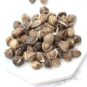 Ventes de graines de moringa de haute qualité perte de poids plante thé graine de moringa