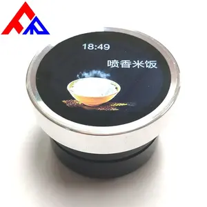 Professional Manufacturers Customize New 1.28 1.6 2.1 2.4 Inch Circular Square TFT LCD Rotating Screen
