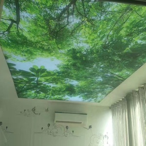 Panneaux en PVC ZHIHAI Décoration Intérieure Commerciale Plafonds Extensibles en PVC - Product Image 3