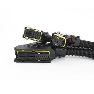 Conectores de Cobre Estañado para Automóviles, Personalizados OEM, para Arnés Frontal, Paso de 2/3/4/5/6 Pines, Cable de Cobre Trenzado Estañado - Product Image 2