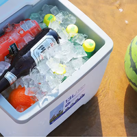 ROCKBROOK CB9002 5L 6L 8L 13L 38L 65L 80L PP Mini glacière portable pour le camping, la plage et le pique-nique.