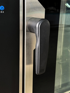 Horno Combinado Comercial de Alta Capacidad Astar de 10 Bandejas, con Caldera y Pantalla Táctil para Producción de Alimentos en Volumen - Product Image 6