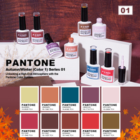 R S Nail Créez Votre Propre Marque – Vernis Gel Couleur Pantone 8g, 10 Couleurs, Norme Européenne, Sans HEMA ni TPO, Gel Hiver pour Ongles