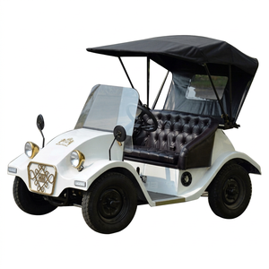 Mini Buggy Eléctrico Vintage de 2 Plazas con Toldo Parasol, Tubo de Acero, Color Personalizado, Vehículo Turístico - Product Image 1